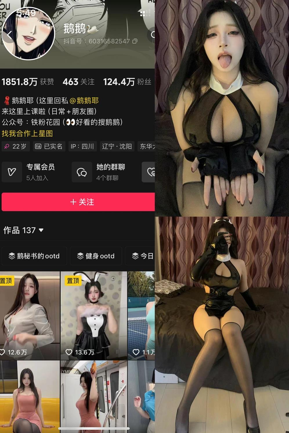 鹅鹅不吃洋葱 鹅鹅不吃洋葱