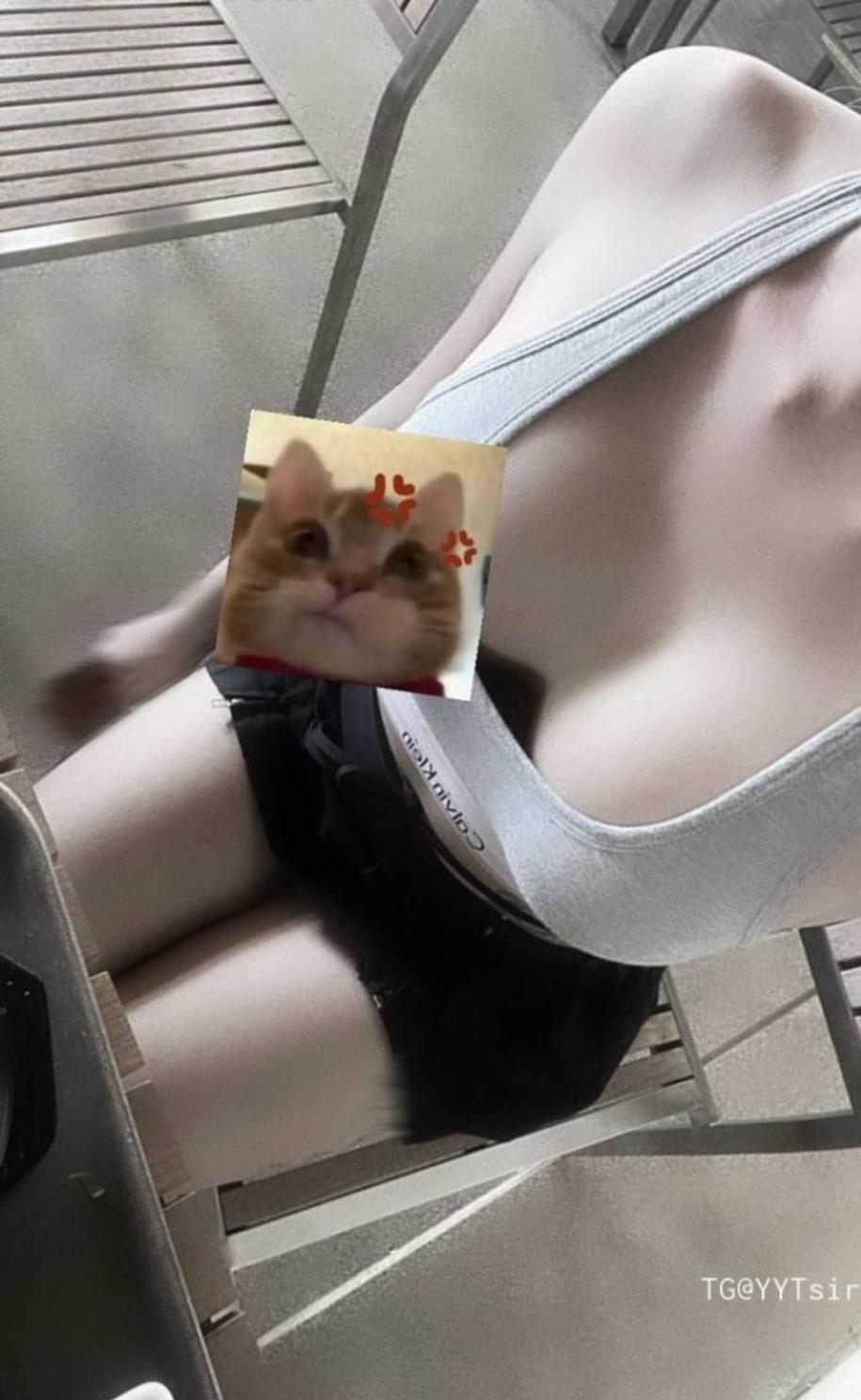 颉颉与猫 颉颉与猫