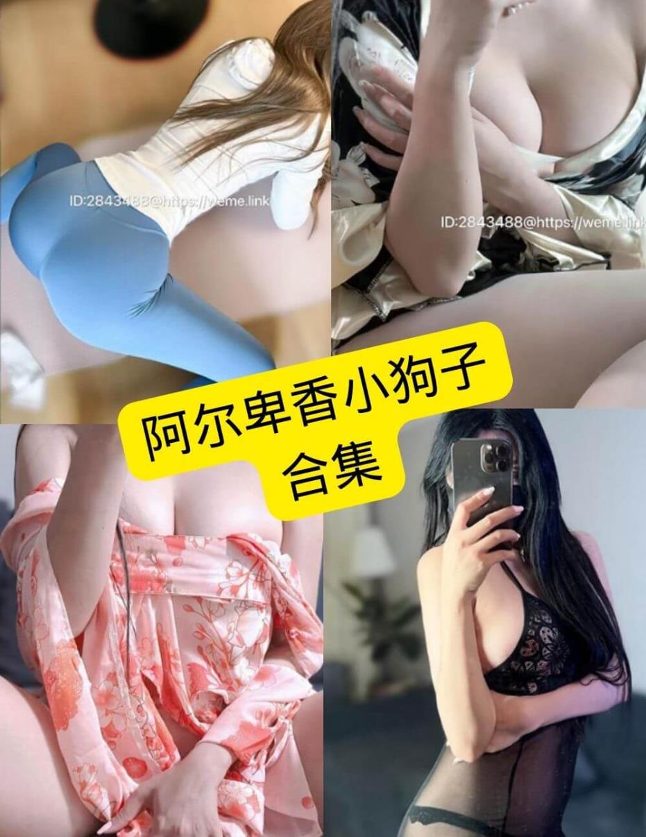 阿尔卑香小狗子