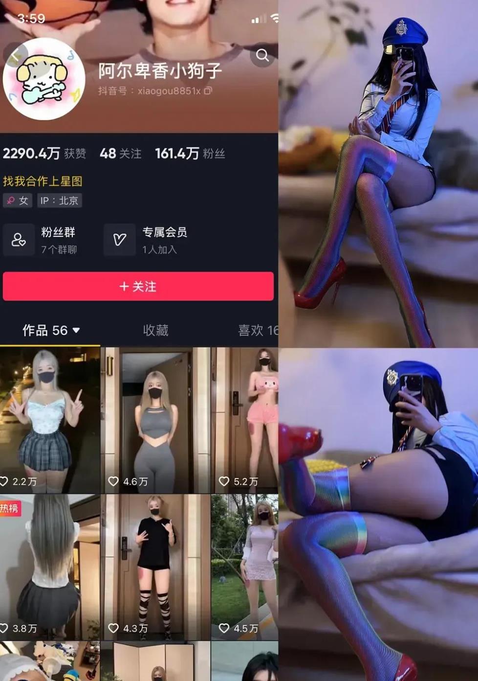 阿尔卑香小狗子